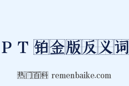 PT铂金版反义词是什么意思的图片